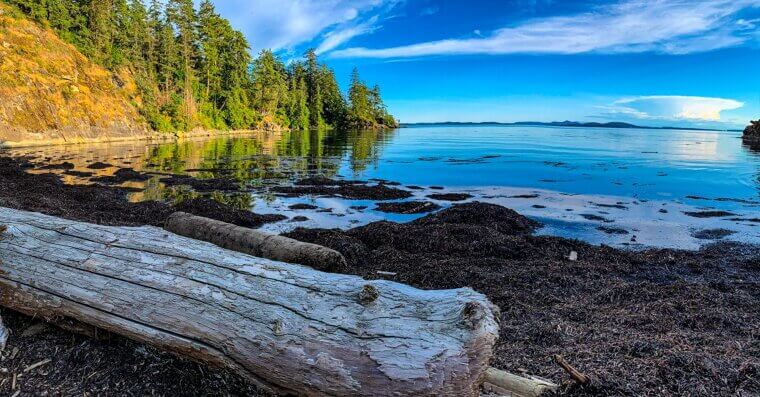 Bellingham, Washington