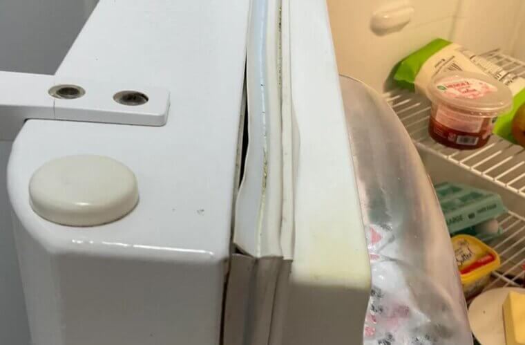 Fridge Door Seal