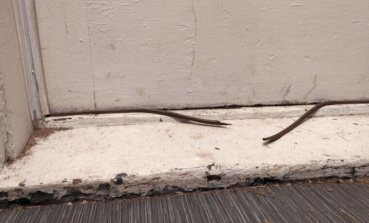 Door Weatherstripping