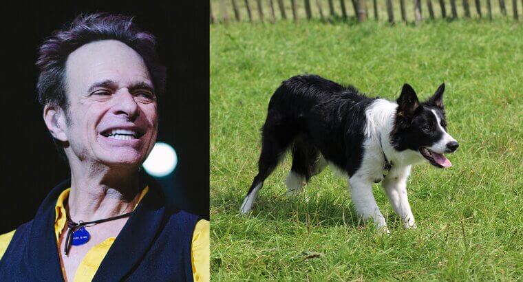 David Lee Roth and His Herding Dogs