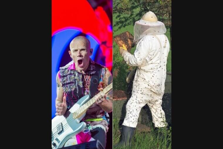 Flea and His Deep Passion for Beekeeping