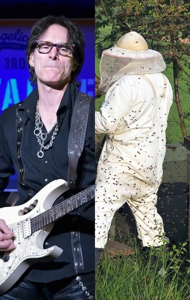Steve Vai and His Dedicated Backyard Beekeeping