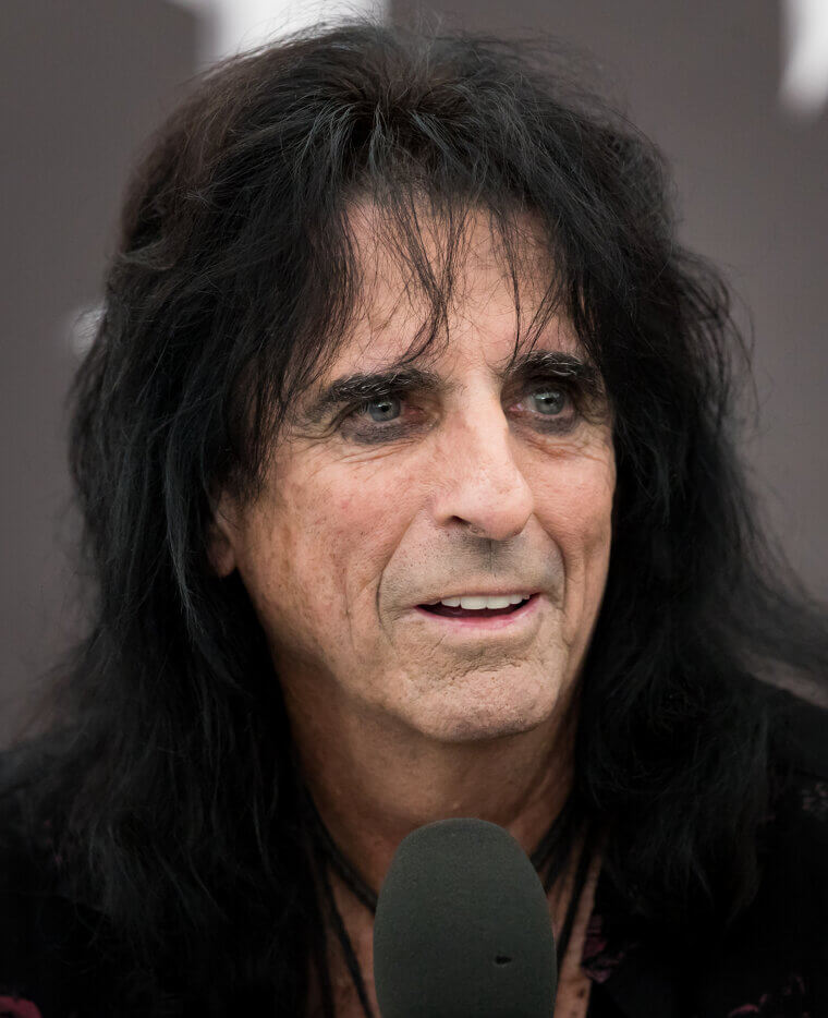 Alice Cooper Slapping Paint As A House Painting Contractor