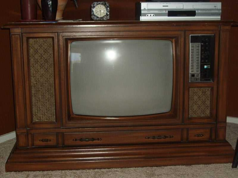 Back in Our Day, Televisions Were Straight Out of the Tree