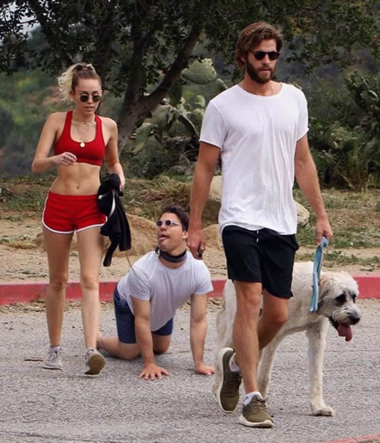 When You Realize Miley's Dogs Have A More Lavish Life Than You