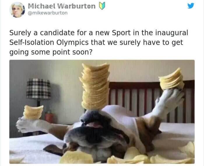 This Dog Deserves A Gold Medal