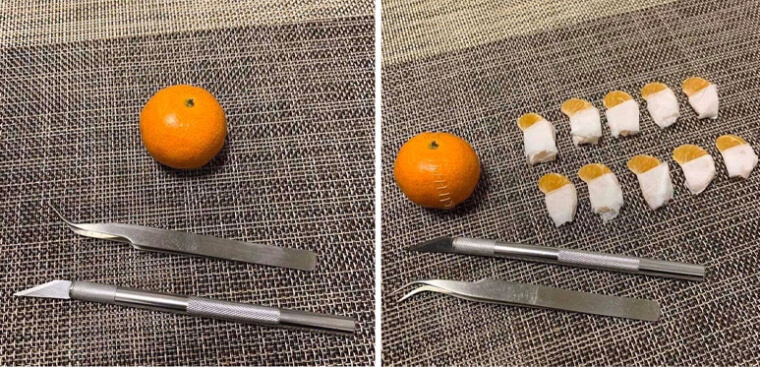 Performing C-Section On A Clementine, All The Babies Are Safe