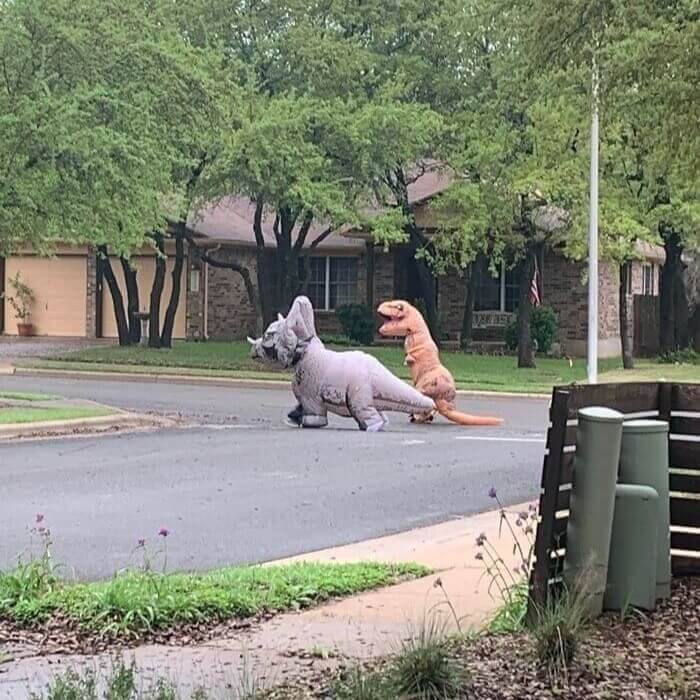 When Humans Are Stuck Inside, Dinosaurs Reclaim The Land