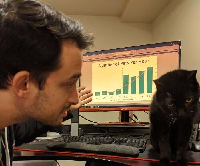 He Was Wondering Why There Was An Increase In Pets And Attention