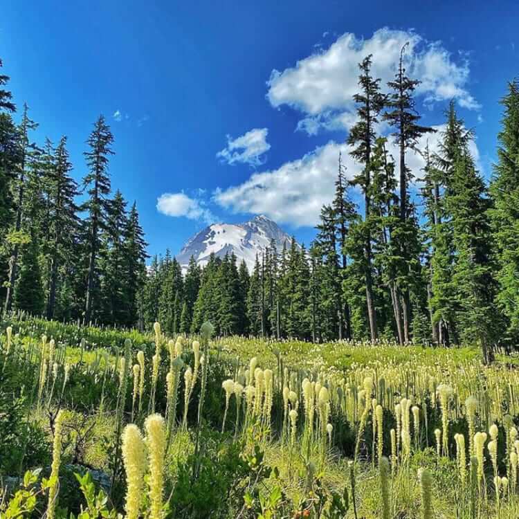 Use Less Paper And Recycle When You Can