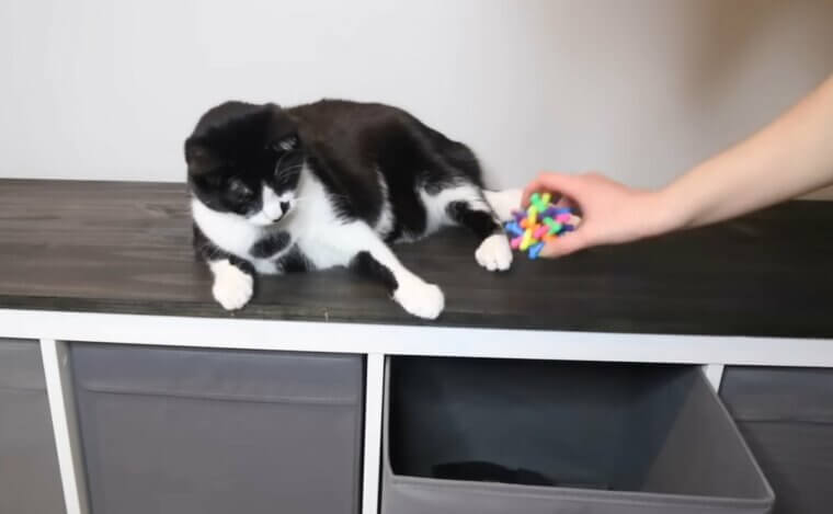 Bookshelves Filled With Bins Instead of Books
