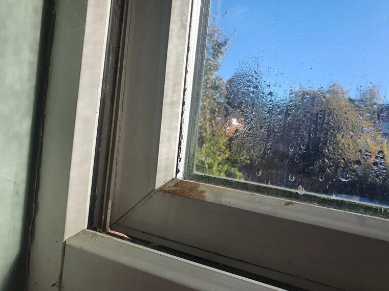 Stuck Windows and Doors