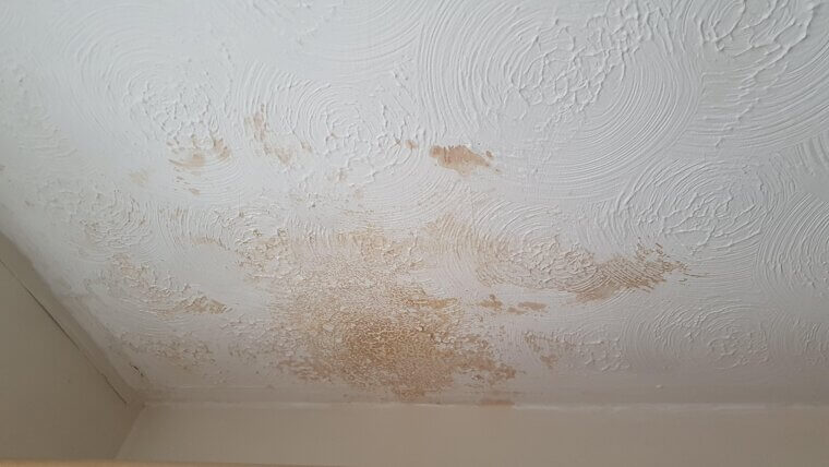 Mysterious Brown Stains