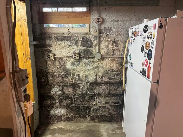 The Faint Musty Smell