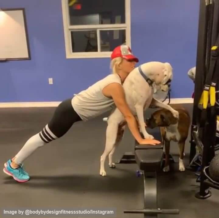 Home Workout Partners Are A Tad Furrier Than The Gym