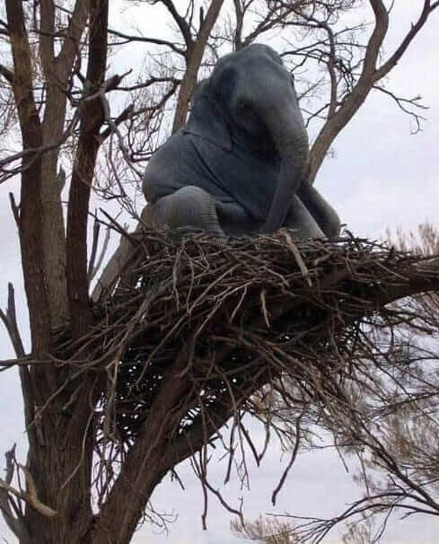 Dumbo, El Elefante Volador