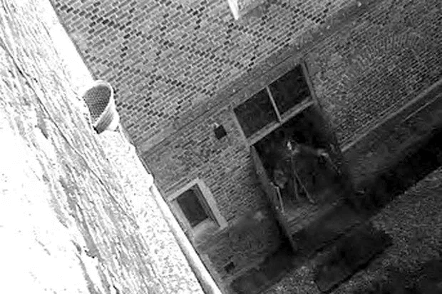 O Fantasma Real