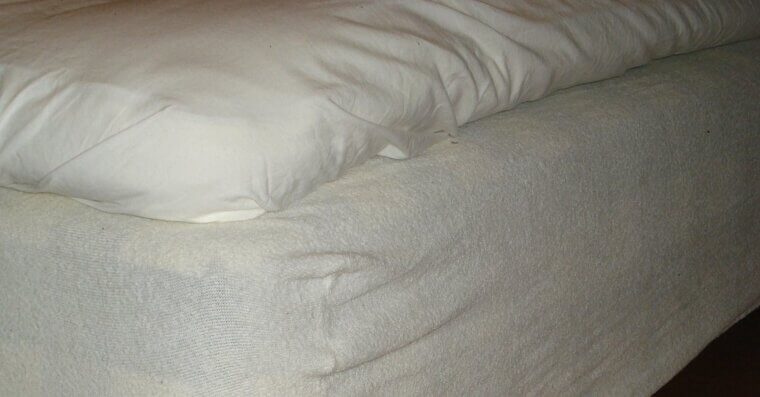 Use a Mattress Protector
