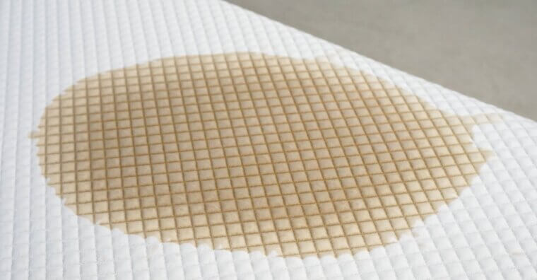 Use Cornstarch for Grease Stains