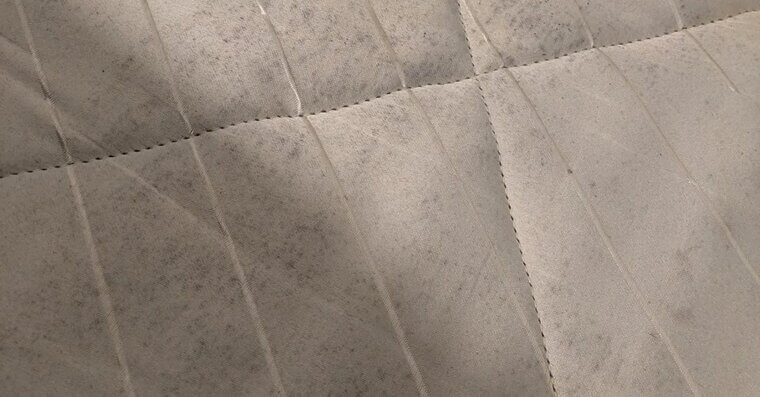 Check for Mold Spots