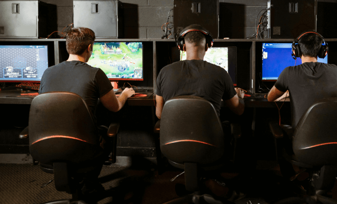 The Role of Player Communities in Sustaining Long-Term Game Worlds