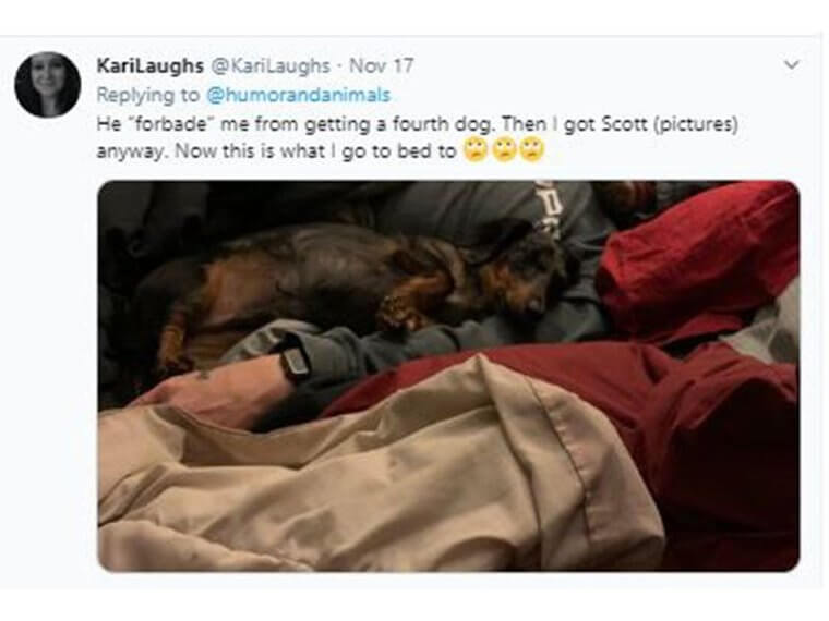 He Said No To The Dog, And Now Can’t Sleep Without Him