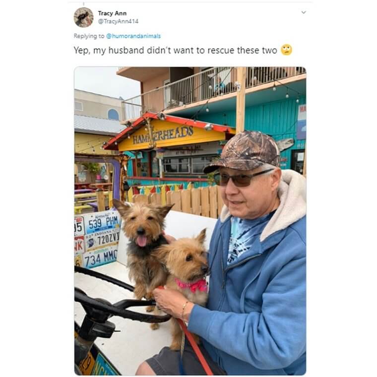He Didn’t Want To Rescue This Cute Pair But Takes Them On Days Out