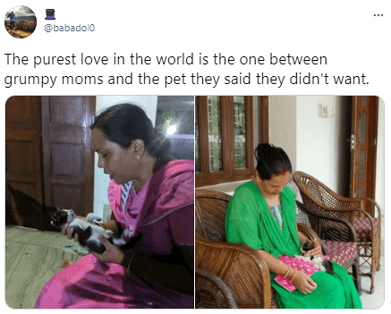 This Kitten Really Put A Smile On This Mom’s Face