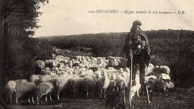 French Shepherds Wore Stilts to Watch Their Flocks on Wet Turf