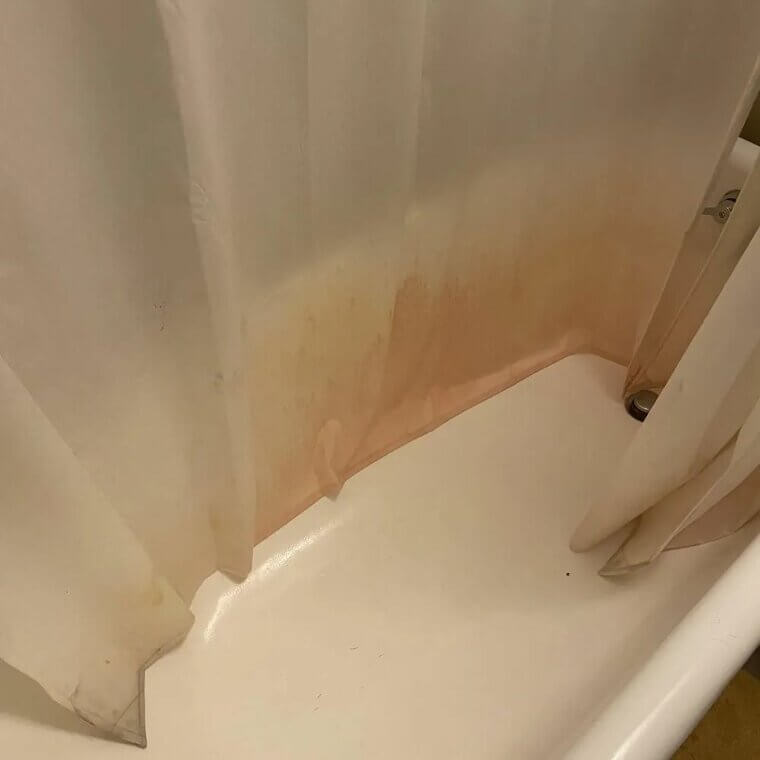 シャワーカーテンを掃除しない