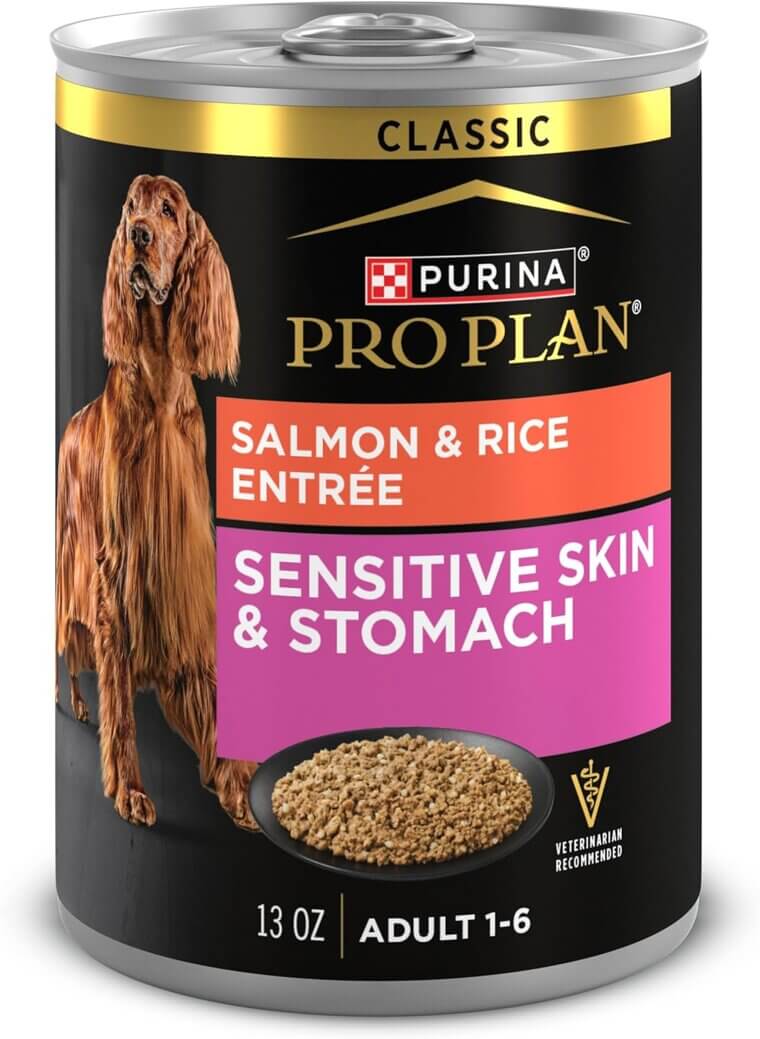 Purina Pro Plan Dog Food for Sensitive Skin & Stomach - Salmon & Rice 