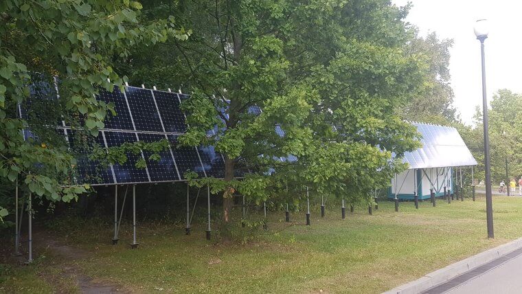 Solar panels behind trees