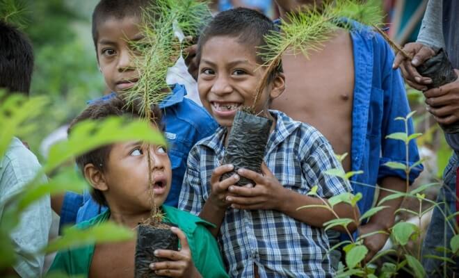 Embedding Sustainability in How We Learn and Teach