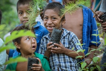 Embedding Sustainability in How We Learn and Teach