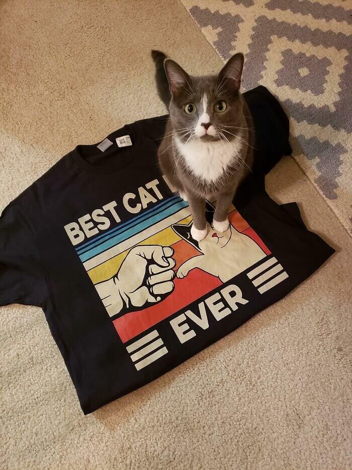 “Best Cat Ever”
