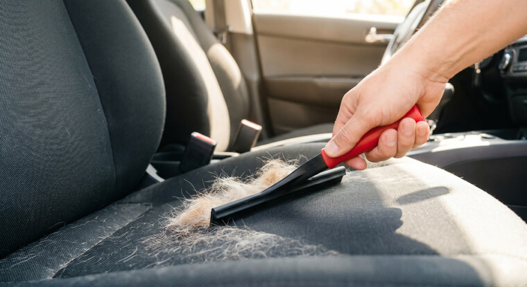 Squeegees For Quickly Removing Stubborn Pet Hair