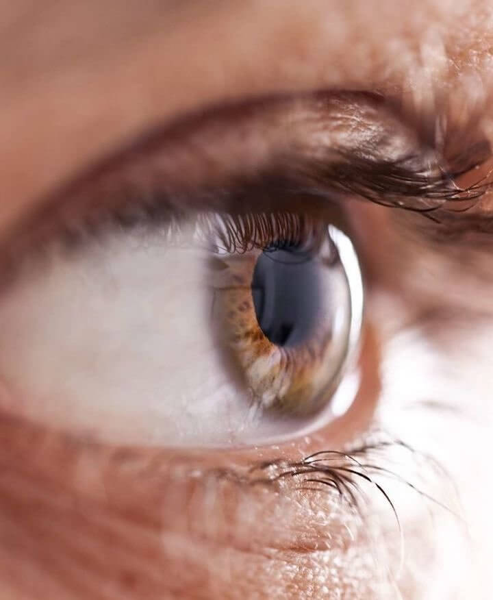 Look Into the Eyes to Determine Trust