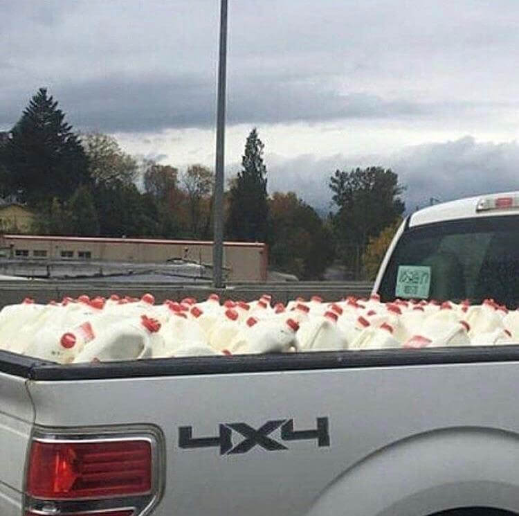 That Sure Is a Ton of Chickens