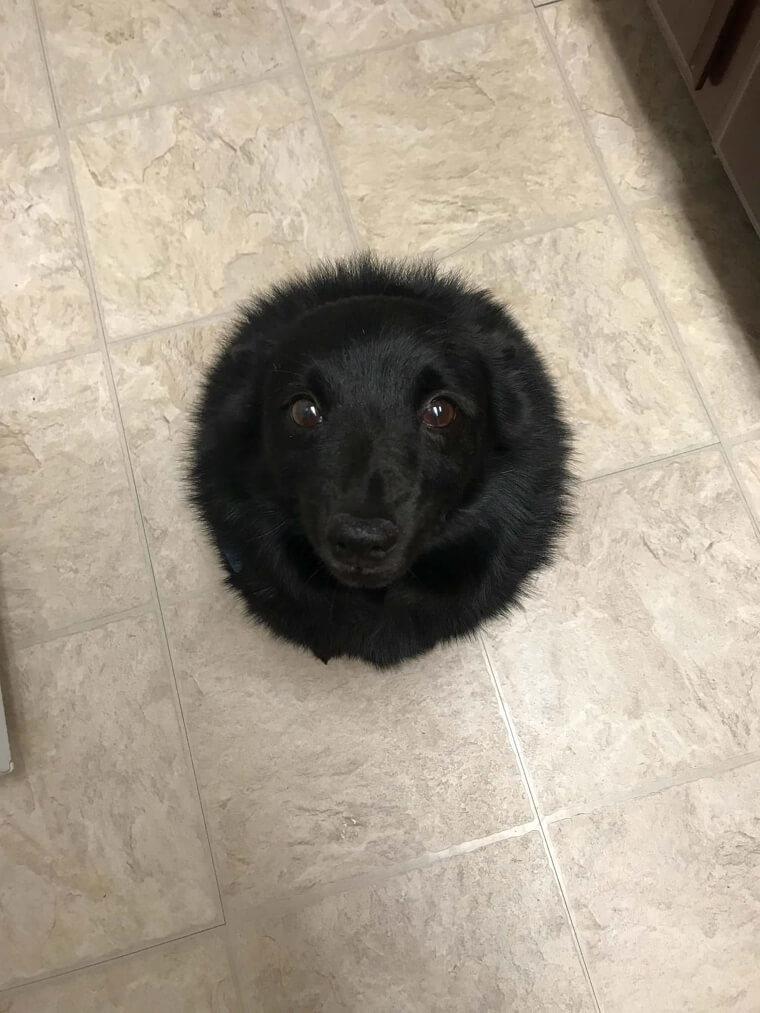 The Most Adorable Black Hole You've Ever Seen