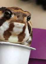 Zabawne iluzje optyczne, które oszukują oko