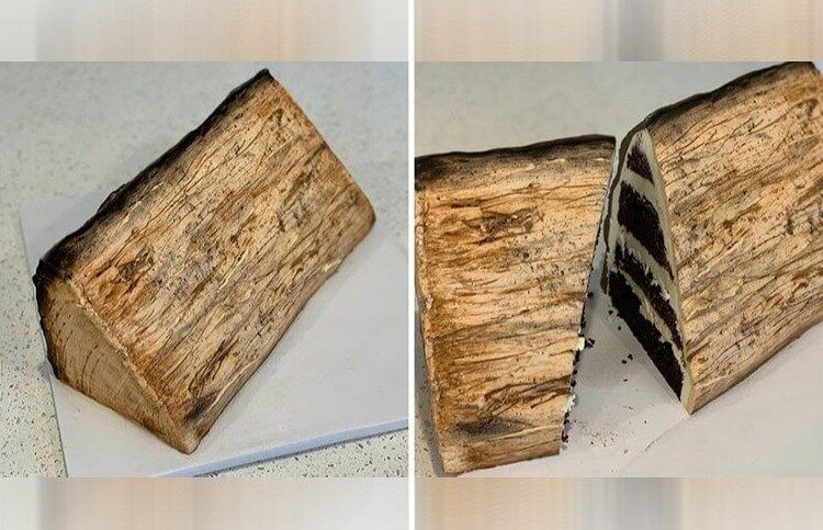 Some Wood for a Campfire