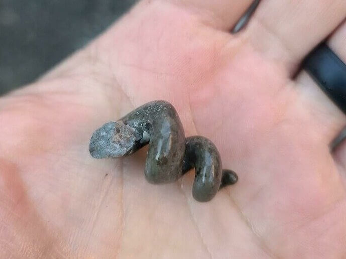 Apparently, Snail Shell Castings Look Like Corkscrews Once Fossilized