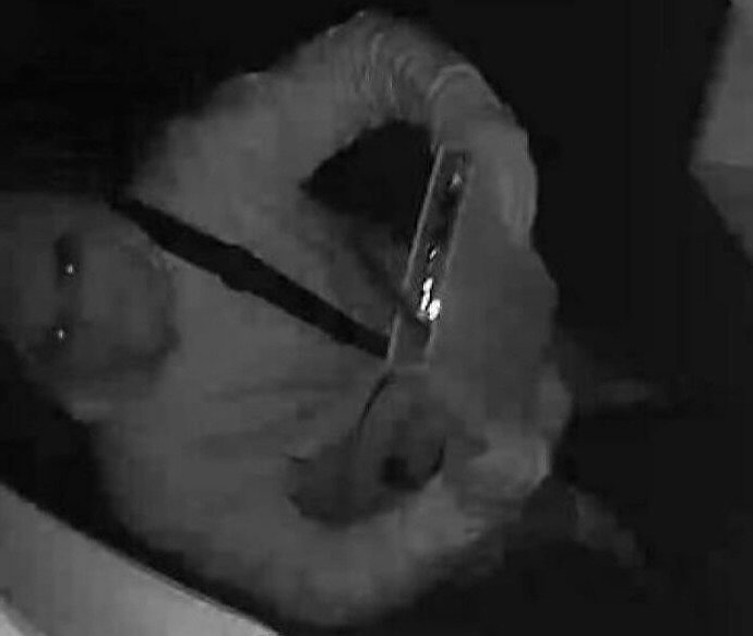 If You See Someone Holding This Device, They're Probably a Car Thief