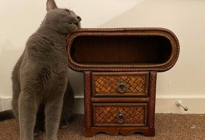 The Shelf on This Vintage Table Has a Very Specific Purpose