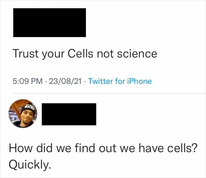 At Least Someone's Asking the Important Questions