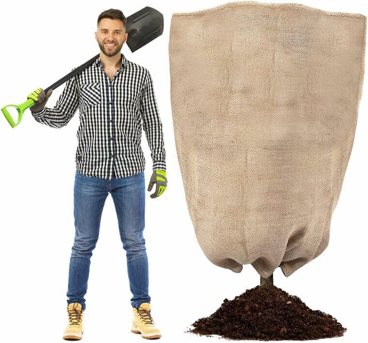 Burlap Plant Covers for Winter Protection - Keep Your Garden Thriving!