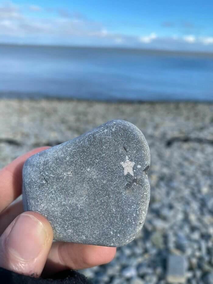 Eine fast perfekte Sternform in einem Felsen am Strand gefunden