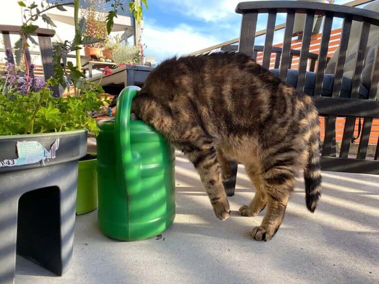 Just Another Case of the Mondays