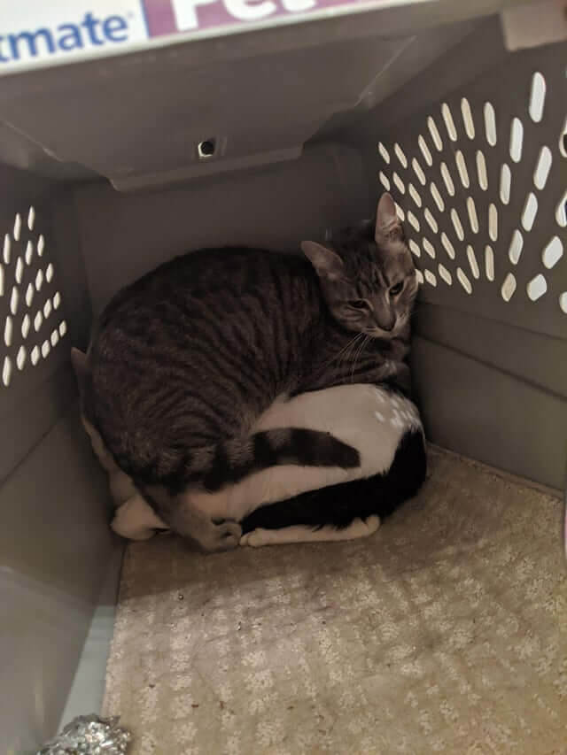 What Personal Space?