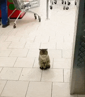 "Nope, I Don't Think I'll Move"